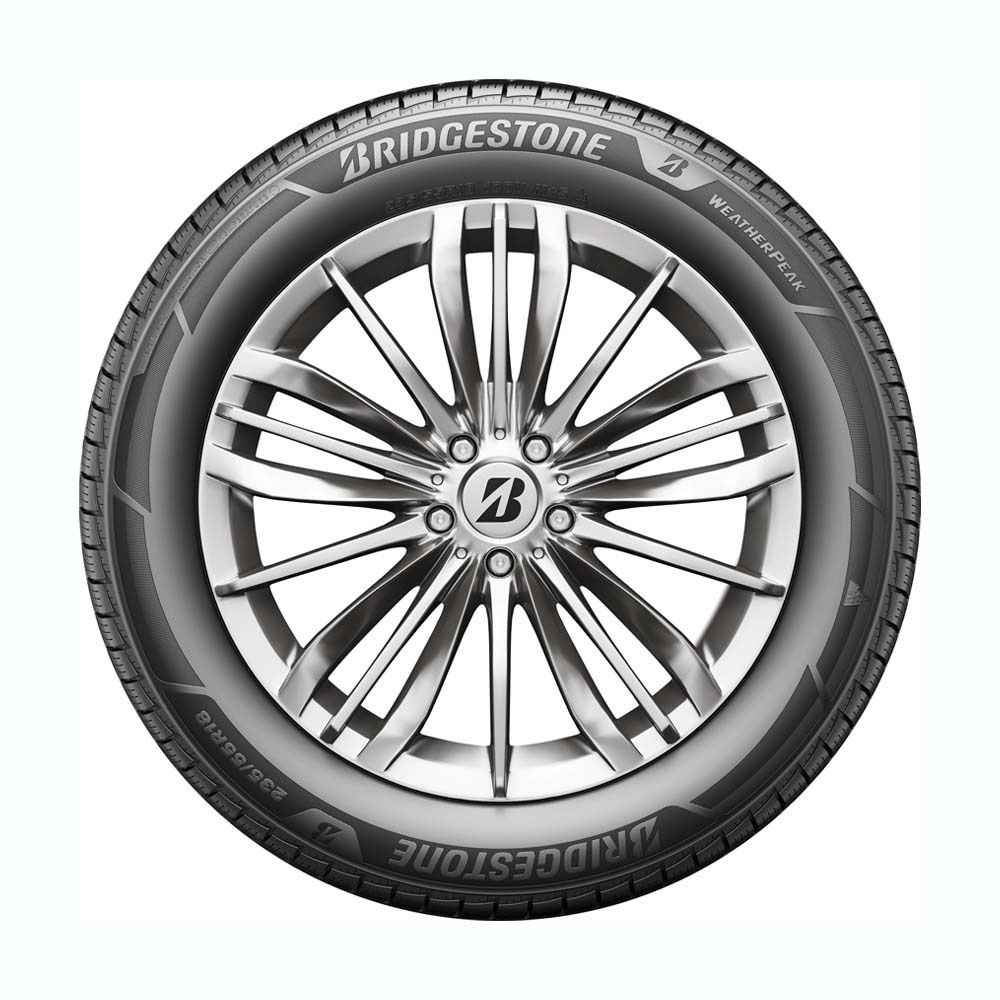 Bridgestone WEATHERPEAK 205/55R16