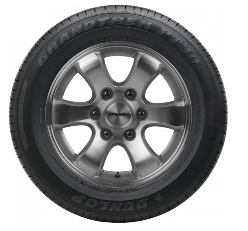 Dunlop GRANDTREK PT30 TL 225/65R17
