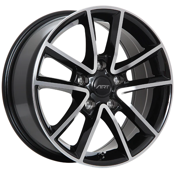 Dodge Caravan 17" Winter Package