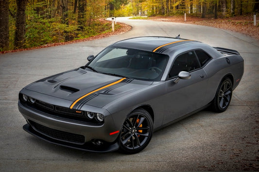 Dodge Challenger/ Charger 20" Winter Package