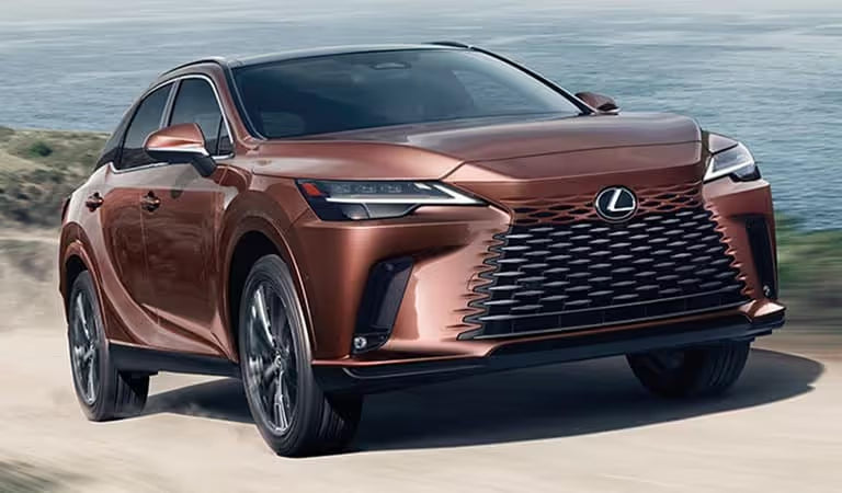 Lexus RX 18" Winter Package